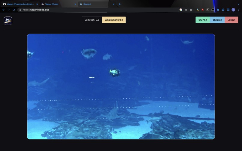 Wager Whales – screenshot 2