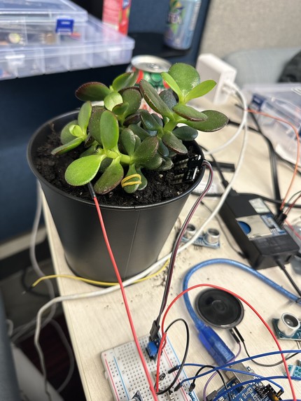 FloraConnect – screenshot 2