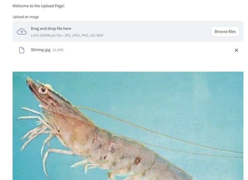 Hack-a-Tuna – screenshot 1