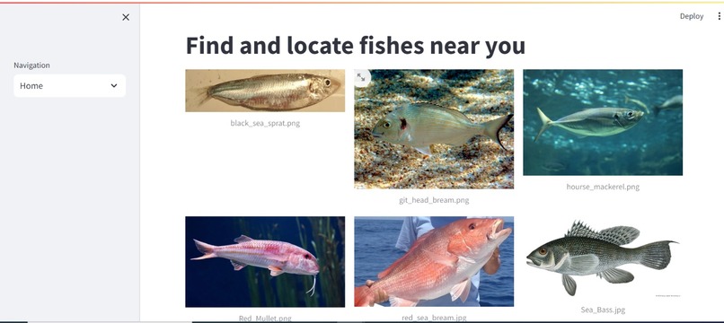 Hack-a-Tuna – screenshot 2