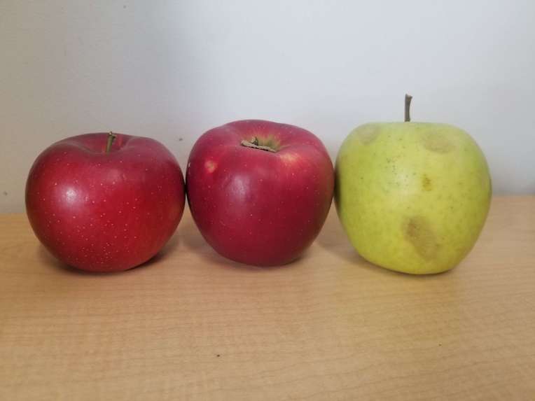 Bad Apples – screenshot 1