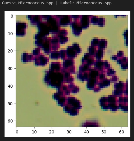 InfectaScan – screenshot 2