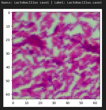 InfectaScan – screenshot 6
