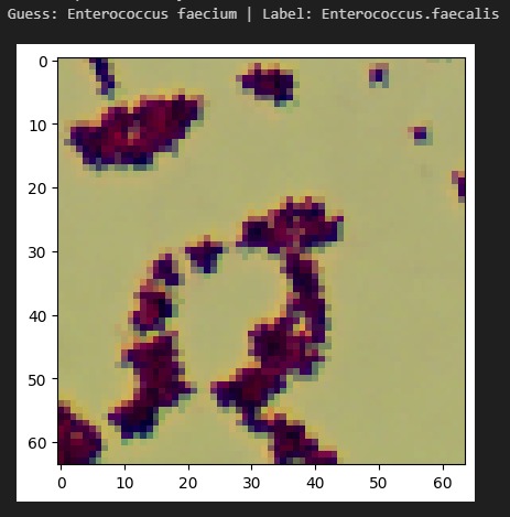 InfectaScan – screenshot 4