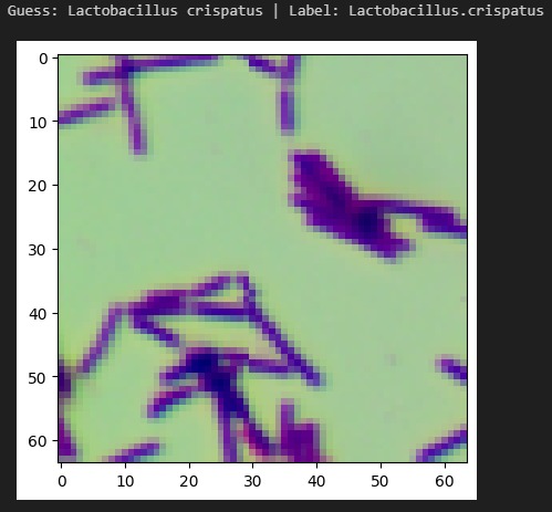 InfectaScan – screenshot 3