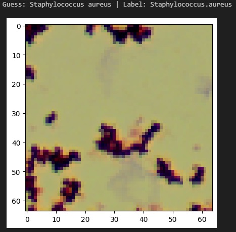 InfectaScan – screenshot 5