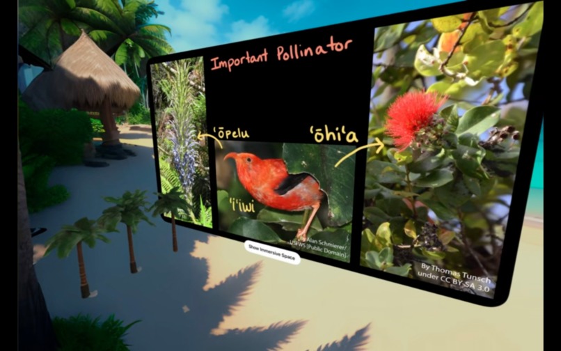 Spatial Study – screenshot 2