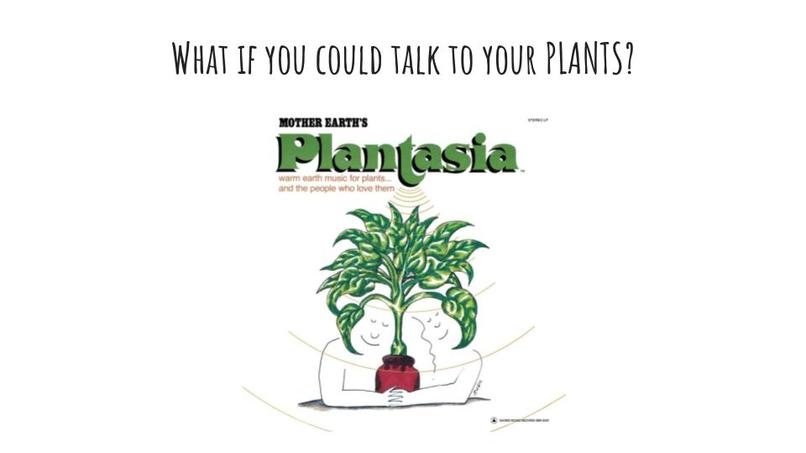 ❀ PlantGPT ❀ – screenshot 2