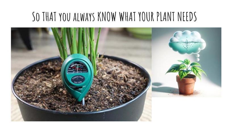❀ PlantGPT ❀ – screenshot 3