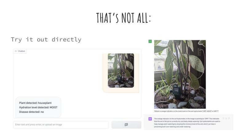 ❀ PlantGPT ❀ – screenshot 5