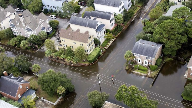 The World is Flooding! – screenshot 1