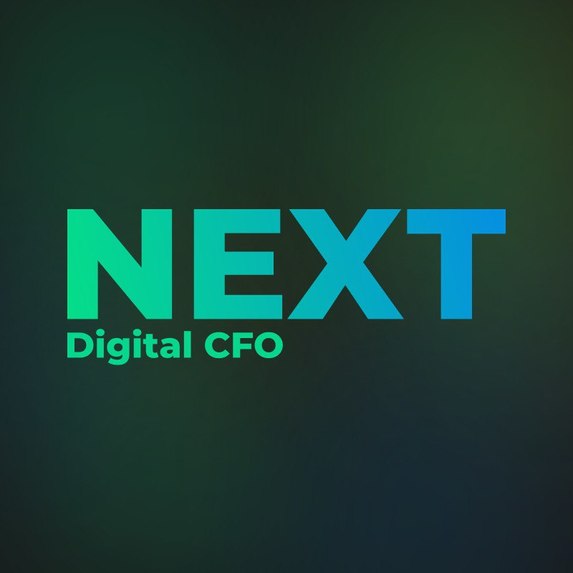 The Next - digital CFO for startups.  – screenshot 2