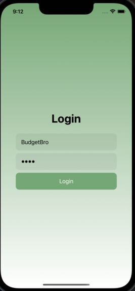 Budget Bros – screenshot 1