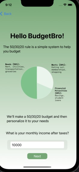 Budget Bros – screenshot 2