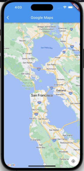 CarGoGo – screenshot 3