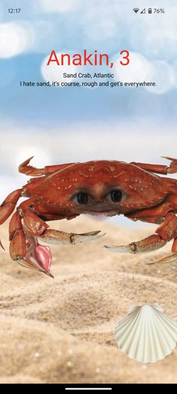 You've got Crabs! – screenshot 3