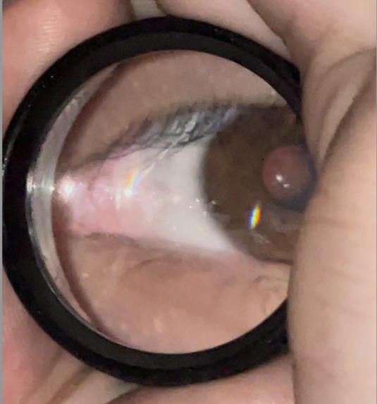 R-Scan – screenshot 4