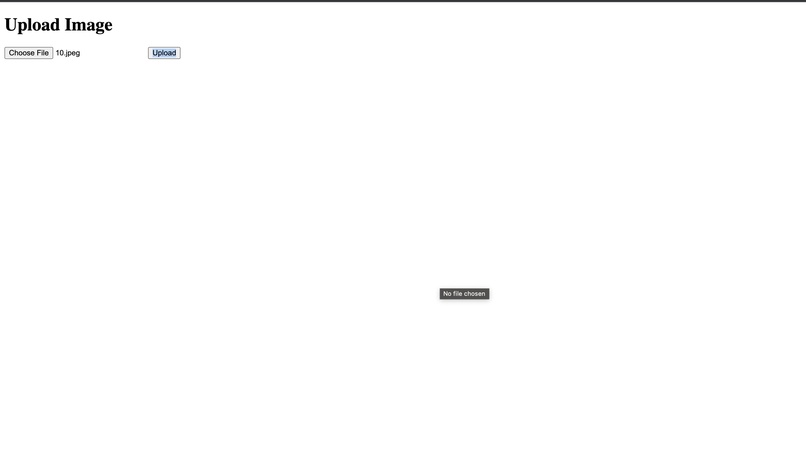 Skin Disease Classifier – screenshot 3