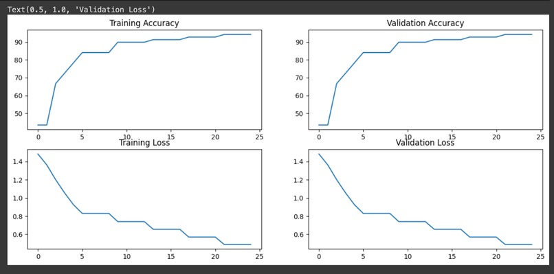 Skin Disease Classifier – screenshot 5