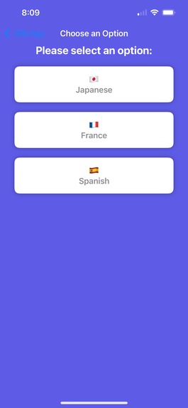 ARLingo – screenshot 2
