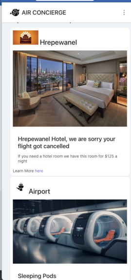 Air Concierge – screenshot 2