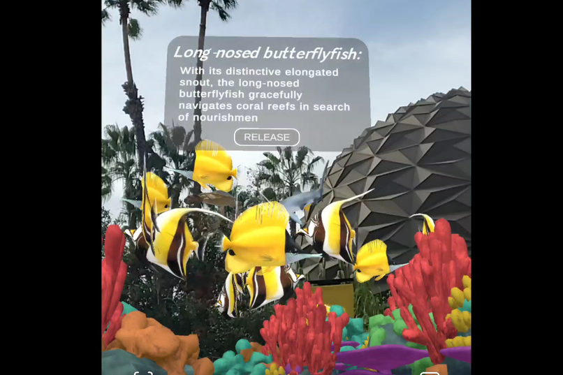 CoralsARLife – screenshot 4
