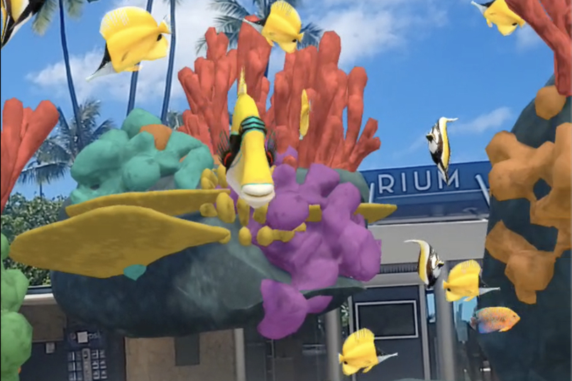CoralsARLife – screenshot 3