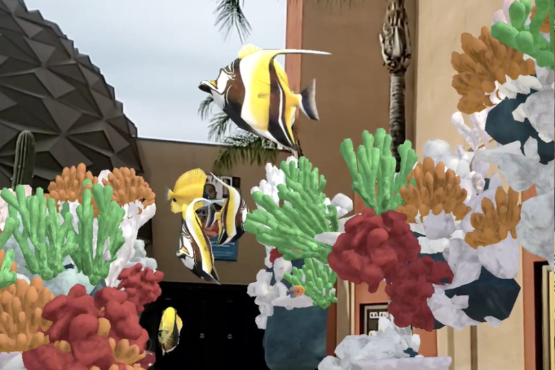 CoralsARLife – screenshot 6