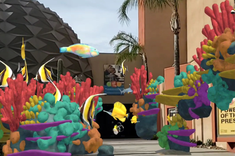 CoralsARLife – screenshot 2