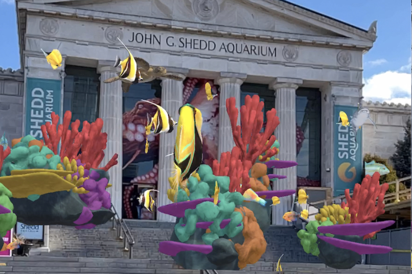 CoralsARLife – screenshot 1