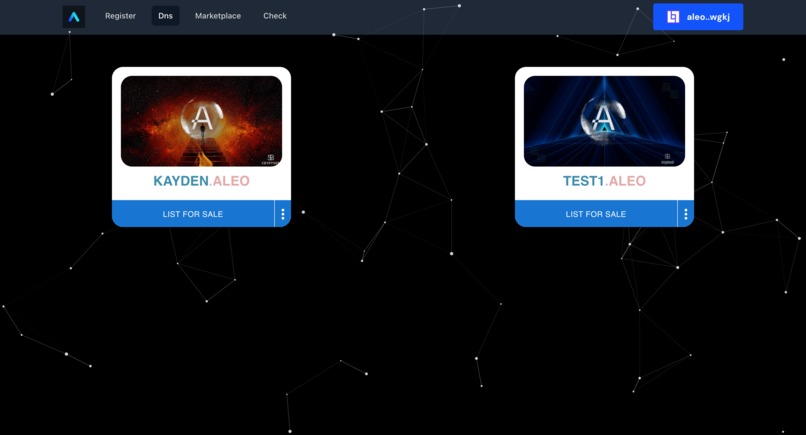 Aleo DNS – screenshot 2