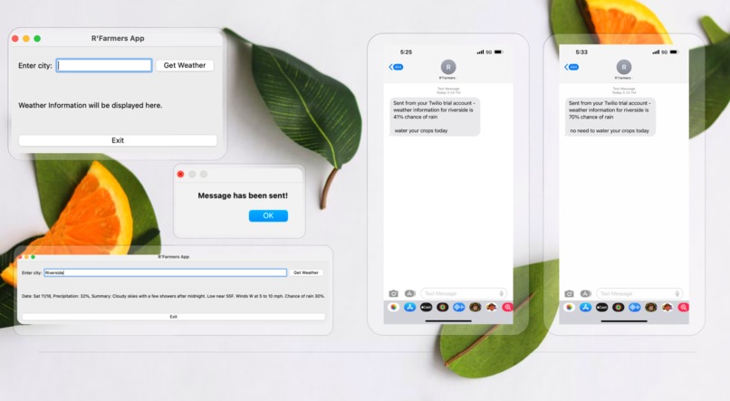 R'Farmers – screenshot 3