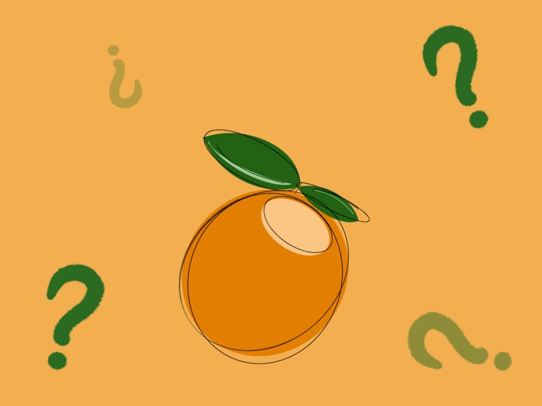 Cutie Trivia – screenshot 1