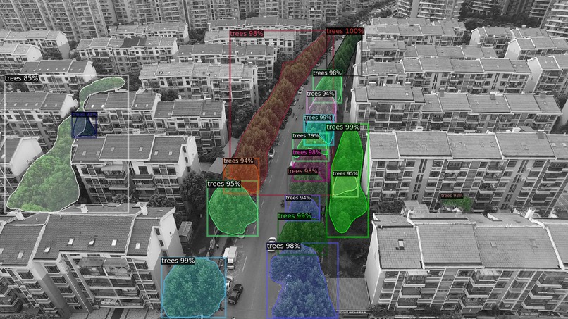 Curify – screenshot 3