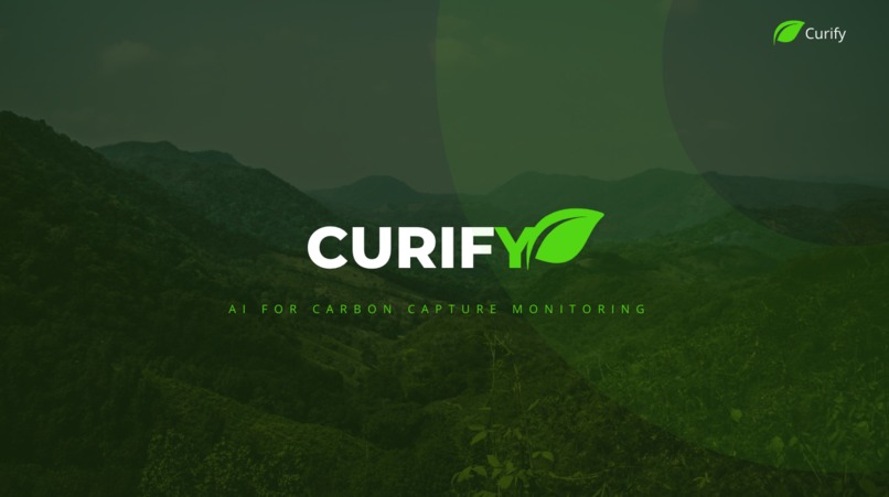 Curify – screenshot 1