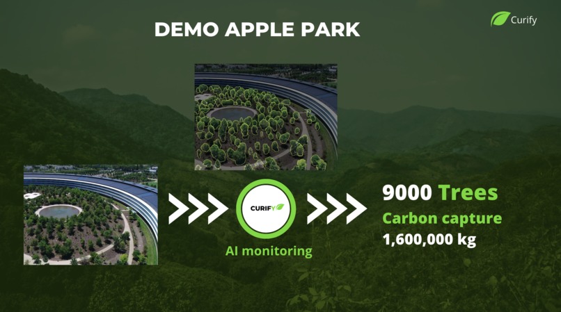 Curify – screenshot 6