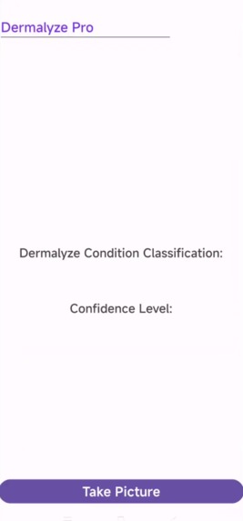 Dermalyze Pro – screenshot 2