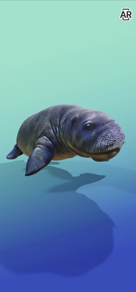 Geospatial Wildlife Safari – screenshot 5