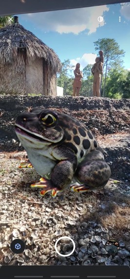 Geospatial Wildlife Safari – screenshot 9