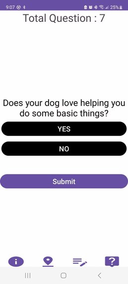 Play Pals – screenshot 6