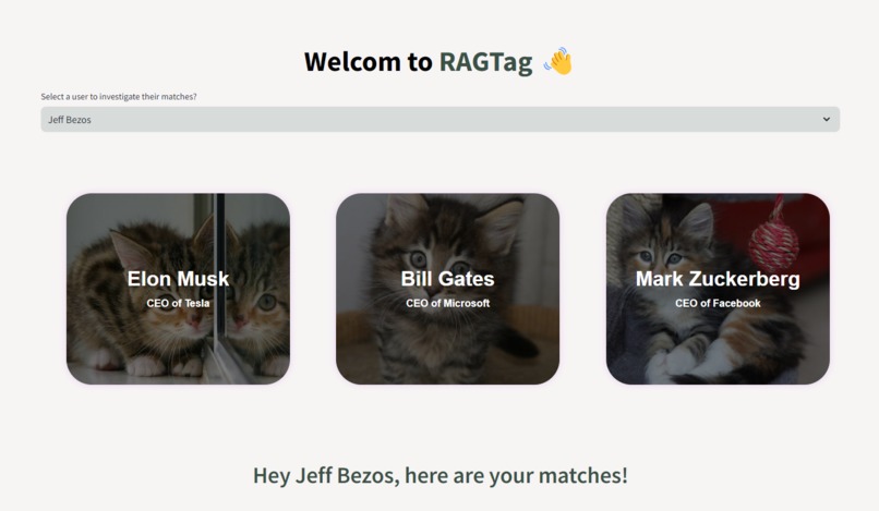RAGTag – screenshot 1