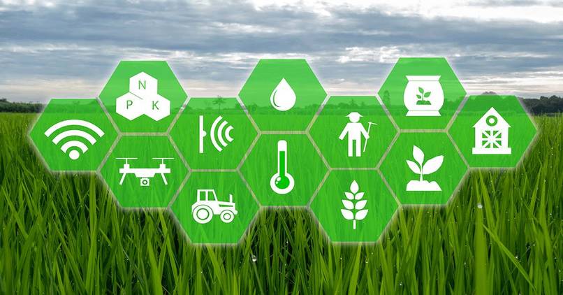 AGRO INSIGHT PRO – screenshot 1