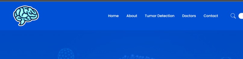Brain Tumor Detection – screenshot 1