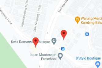 Wheelchair Assistant