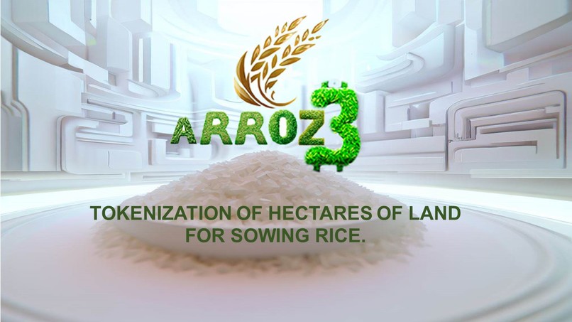 ARROZ3  – screenshot 1