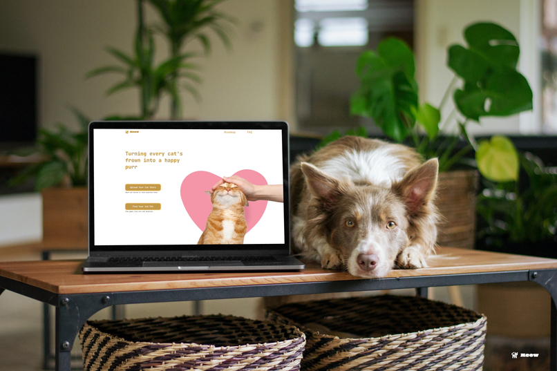 Meow - Gamified Pet Feeding Platform – screenshot 1