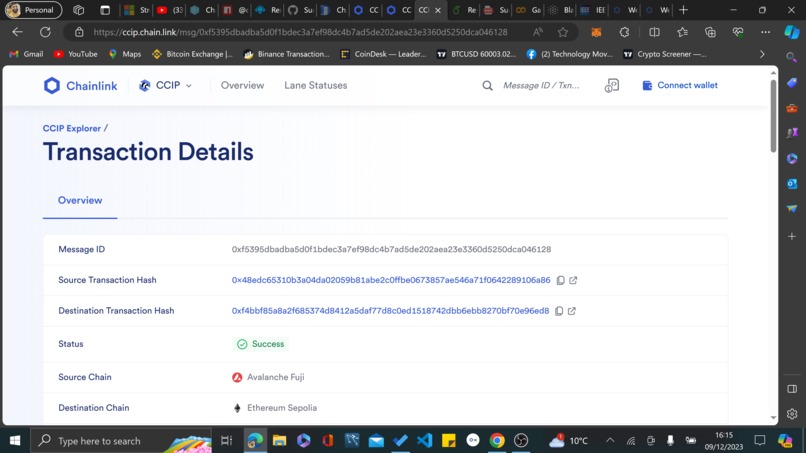 CCIP Experiment Project – screenshot 1