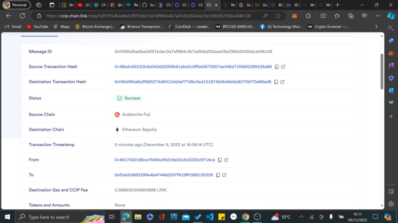 CCIP Experiment Project – screenshot 2