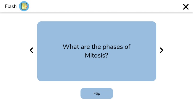 Flash – screenshot 4