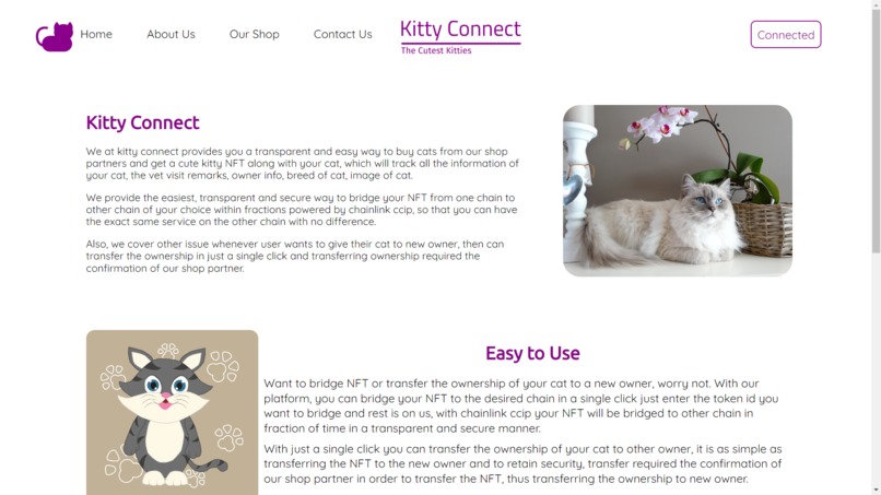 Kitty Connect – screenshot 7